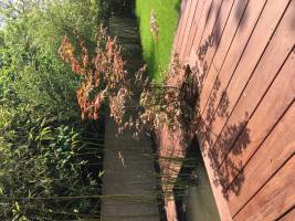 Olivia MARTIN - OLIVIA MARTIN DECO